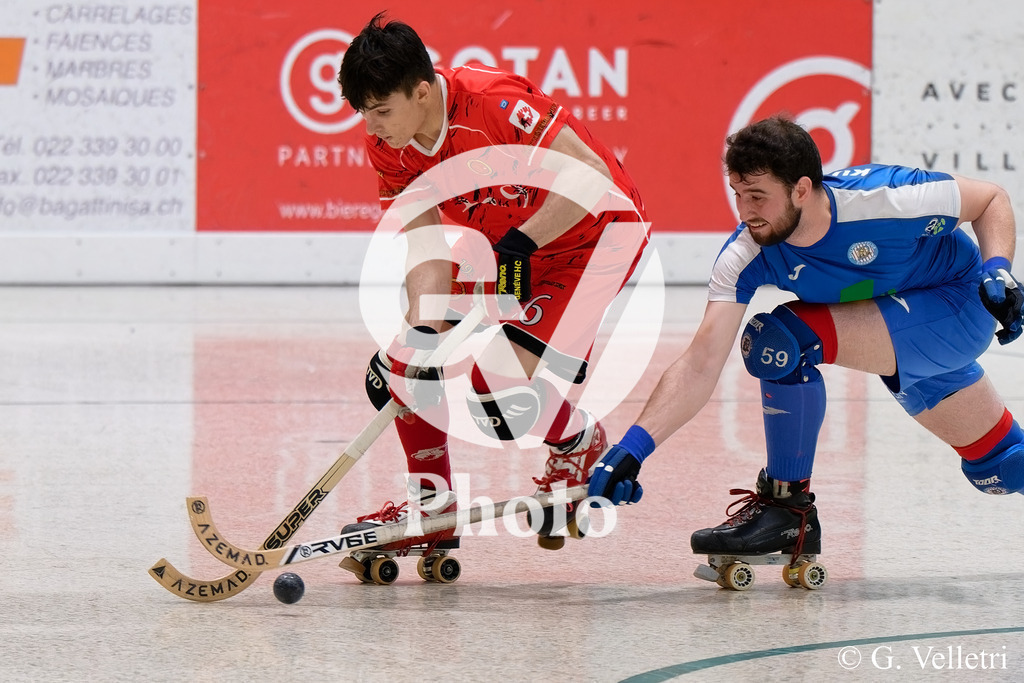 DSC_6621_1 | Velletri Photo