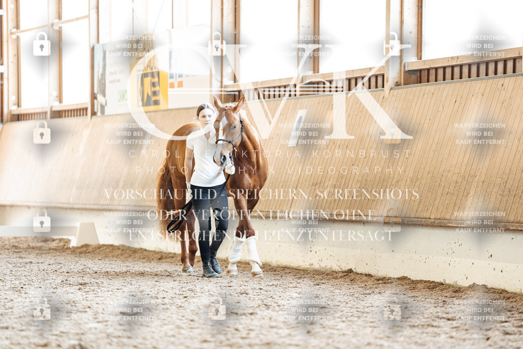 CK907655 | Turnierfotografie Pferdefotografie Trier Rheinland-Pfalz Pferdesport Reitsport Tierfotografie Sportfotografie Pferdevideo Pferdevideografie Equestrianvideography equestrianphotography  - Realisiert mit Pictrs.com