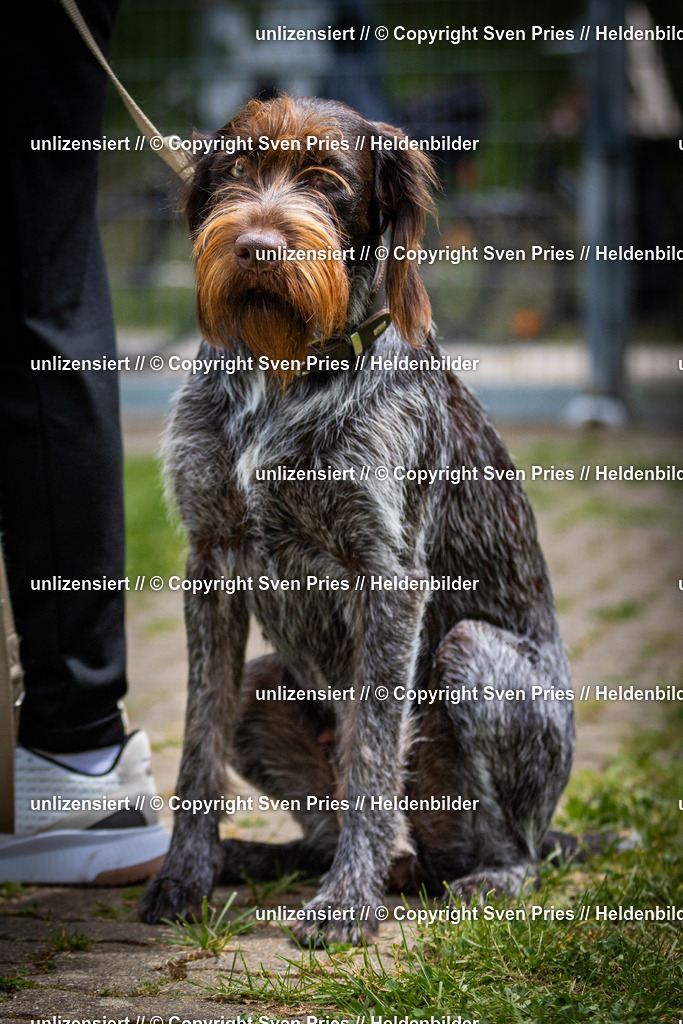 Sven Pries | 2025-05-29 - Pudelrennen KA-Durlach - Realisiert mit Pictrs.com