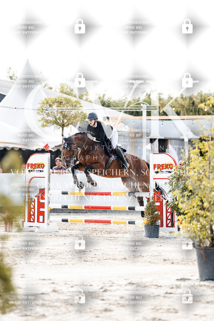 CK906454 | Turnierfotografie Pferdefotografie Trier Rheinland-Pfalz Pferdesport Reitsport Tierfotografie Sportfotografie Pferdevideo Pferdevideografie Equestrianvideography equestrianphotography  - Realisiert mit Pictrs.com