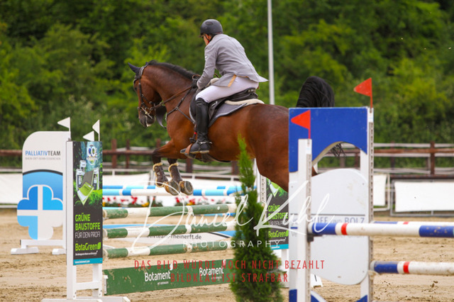 DKP41777 | Turniersportfotografie; Pferdefotografie; Dressurfotografie