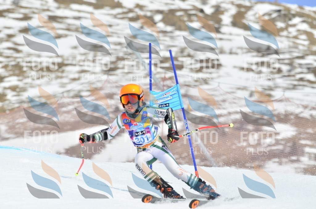 _ELE2195 | holidayphoto