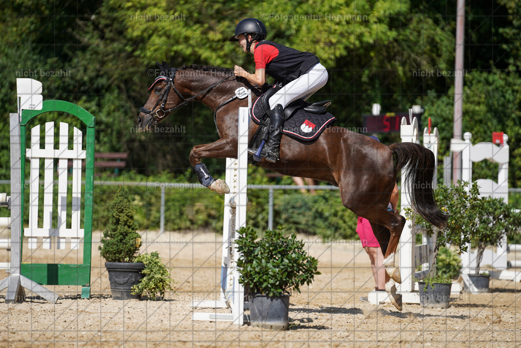20240824-FAH08340 | Thierhaupten 2024, Bayerisches Landesponyturnier, Turnierbilder, Ponybilder, Turnierfotografen Bayern, Fotoagentur Herrmann