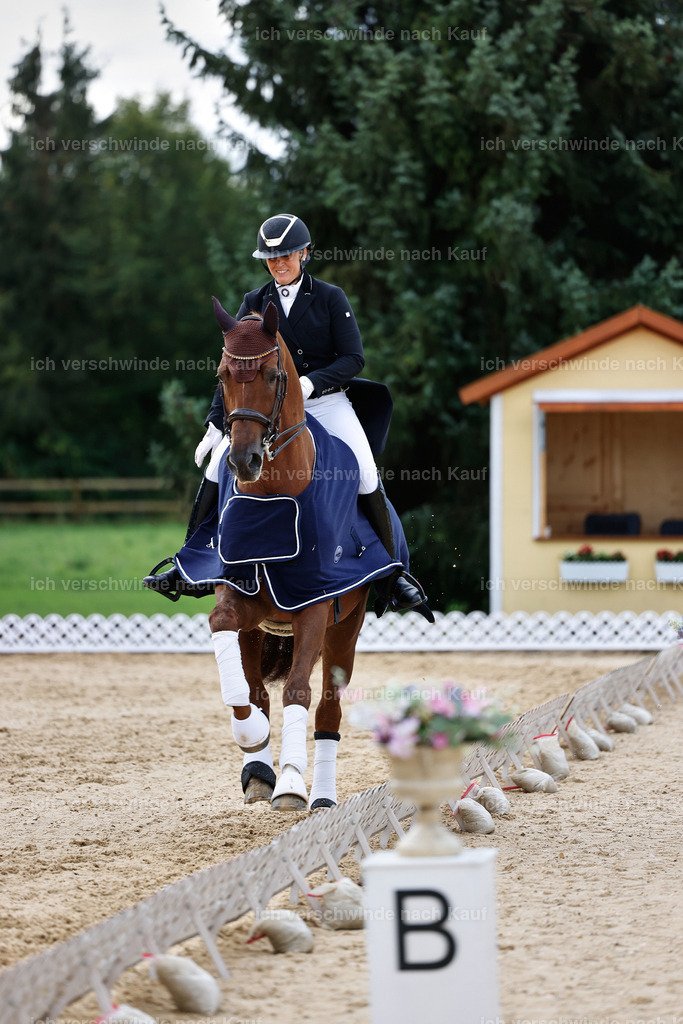 10-Siegerehrung-ST.GEORG SPECIAL -StoibPH-3301 | working equitationturnier fotograf videograf stoibphotography marixx film working equitation deutschland reitsport turnierfotografie eventfotografie equestrian events