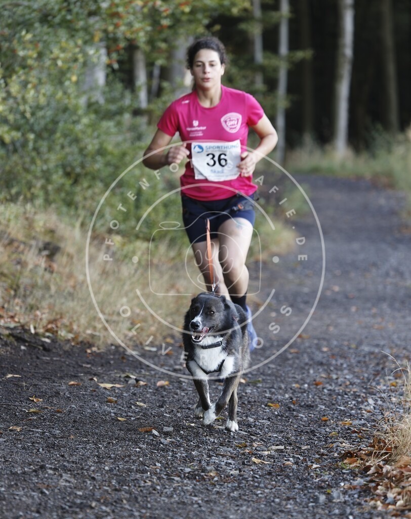 0L8A1613 | Hundefotografie, Tierfotograf, Pfotenfotografie, Fotoshooting Hund, Hunde Portrait, Hundesport, Hundeportraits, Heideshooting, Hunde, Sportfotograf, Hundefotograf, Turnierhundsport, THS,  - Realisiert mit Pictrs.com