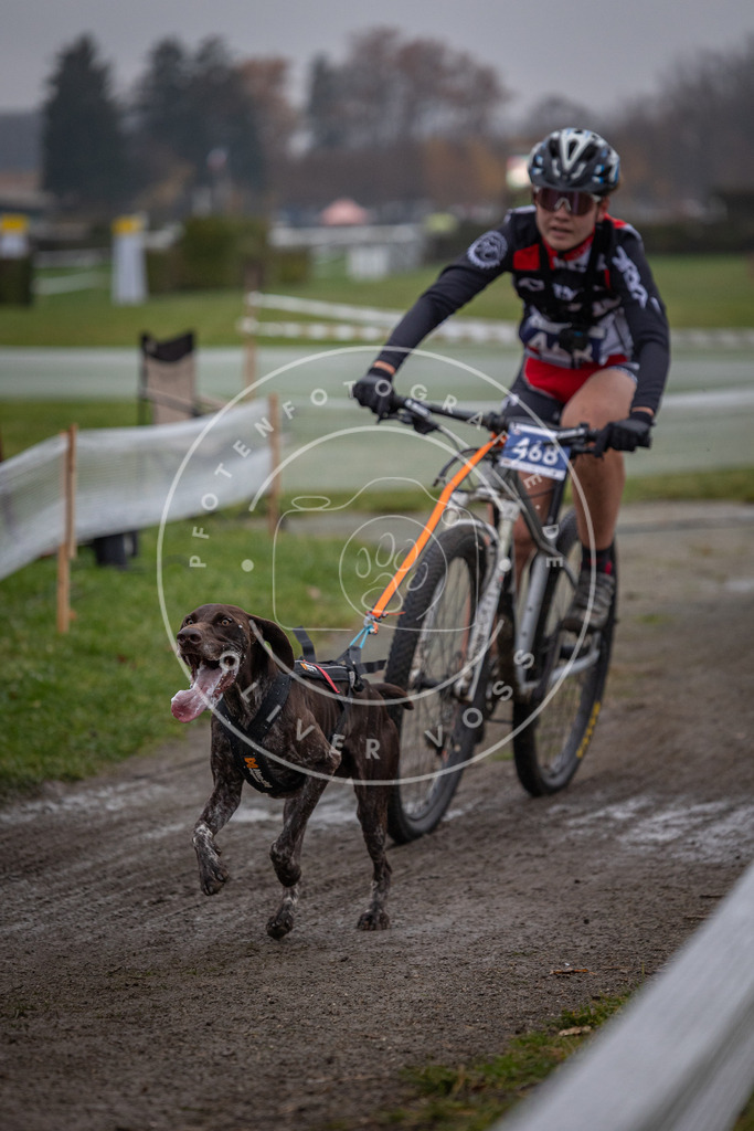 CaniXpix_0L8A1688 | Hundefotografie, Tierfotograf, Pfotenfotografie, Fotoshooting Hund, Hunde Portrait, Hundesport, Hundeportraits, Heideshooting, Hunde, Sportfotograf, Hundefotograf, Turnierhundsport, THS,  - Realisiert mit Pictrs.com