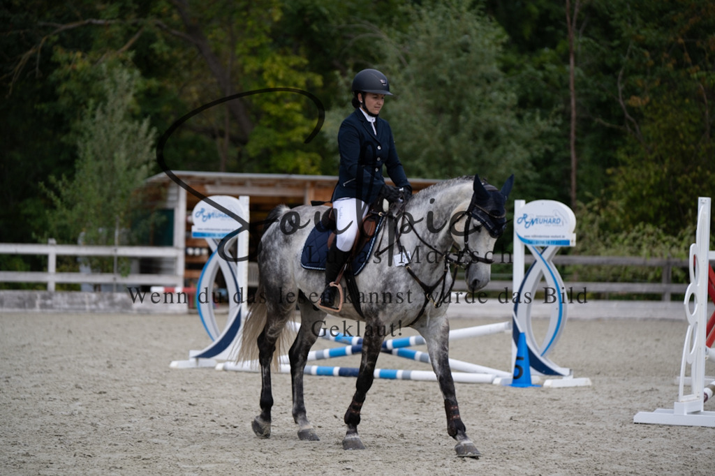 A7V07132 | Pferdefotograf