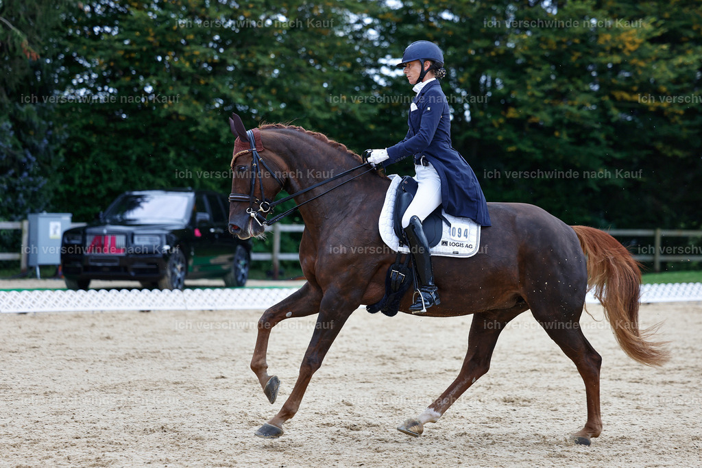 8_1-094-Klasse S_  -StoibPH-3854 | working equitationturnier fotograf videograf stoibphotography marixx film working equitation deutschland reitsport turnierfotografie eventfotografie equestrian events