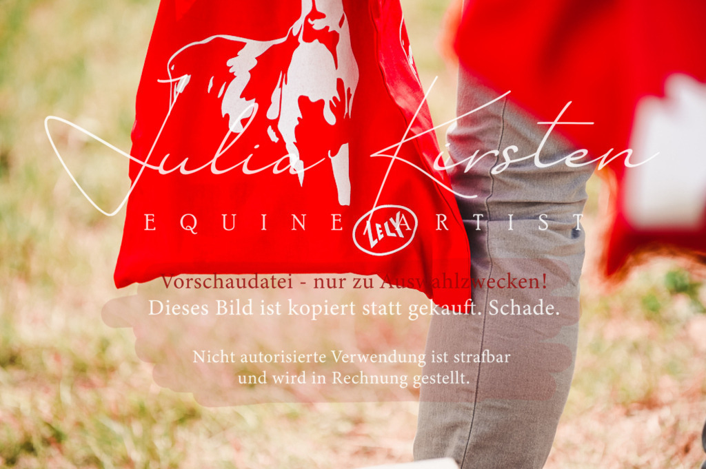 DSC_6400 | Pferde- und Turnierfotografie in Westsachsen. Pferdeportraits, Auftragszeichnungen und intuitive Kunst.