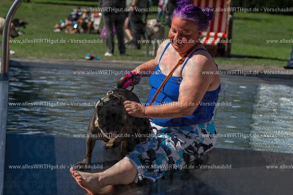 Hundeschwimmen_Volksbad_2026-allesWIRTHgut_Tierfotografie-2609061312-FAY06692 | Professionelle Tierfotografie in Mönchengladbach von Daniel Wirth (allesWIRTHgut). Liebevolle & natürliche Bilder von Hunden & Katzen für unvergessliche Erinnerungen.