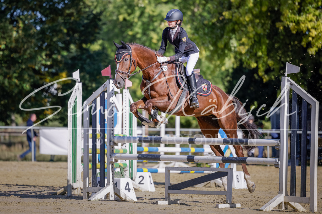 20250906-_3LI3169 | Tierfotografie Pferde, Hunde, Katzen, Haustiere.
Turnierfotografie Reitturniere, Reiten, Springreiten, Dressur in Hanau, dem Main-Kinzig-Kreis und dem Rhein-Main- Gebiet um Frankfurt