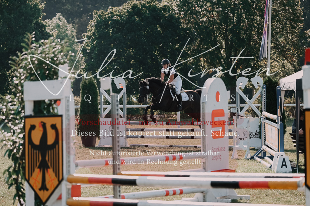 DSC_4525 | Pferde- und Turnierfotografie in Westsachsen. Pferdeportraits, Auftragszeichnungen und intuitive Kunst.