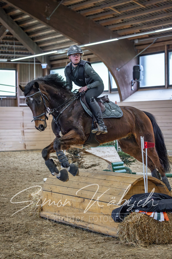 20260222-_3LI1553 | Tierfotografie Pferde, Hunde, Katzen, Haustiere.
Turnierfotografie Reitturniere, Reiten, Springreiten, Dressur in Hanau, dem Main-Kinzig-Kreis und dem Rhein-Main- Gebiet um Frankfurt