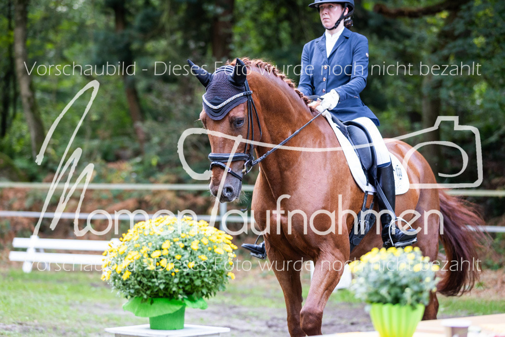 HB-A-Dressur-056 | MomenTaufnahmen Pferdesportfotos