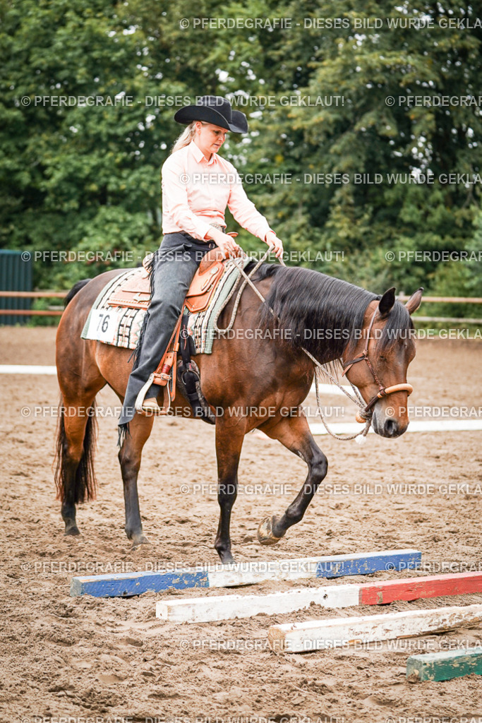 DSC03889 | Pferdegrafie