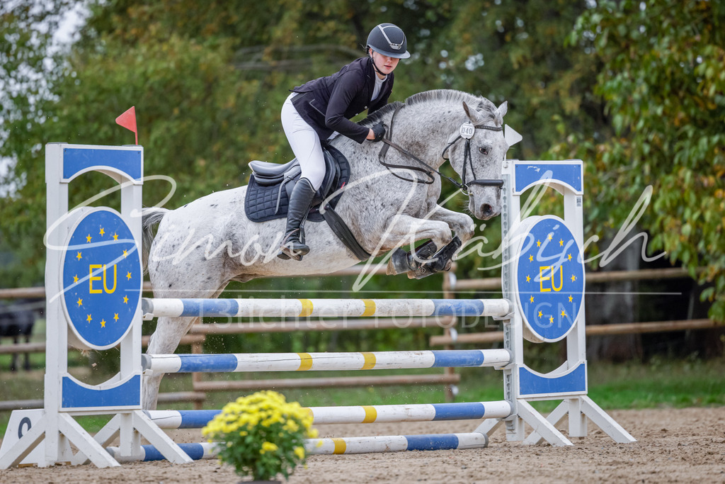20251012-_3LI4657 | Tierfotografie Pferde, Hunde, Katzen, Haustiere.
Turnierfotografie Reitturniere, Reiten, Springreiten, Dressur in Hanau, dem Main-Kinzig-Kreis und dem Rhein-Main- Gebiet um Frankfurt