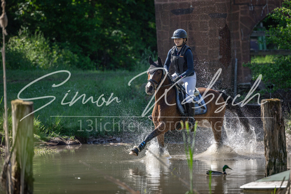20260523-_3LI6785 | Tierfotografie Pferde, Hunde, Katzen, Haustiere.
Turnierfotografie Reitturniere, Reiten, Springreiten, Dressur in Hanau, dem Main-Kinzig-Kreis und dem Rhein-Main- Gebiet um Frankfurt
