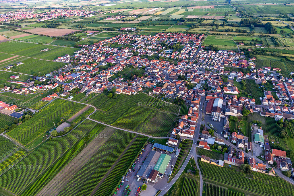 Luftbild: Ortsansicht von Norden in Niederkirchen bei Deidesheim im Bundesland Rheinland-Pfalz in Deutschland. Foto: IMG_107737.jpg vom 03.06.2018 durch Werner Riehm/FLY-FOTO.de