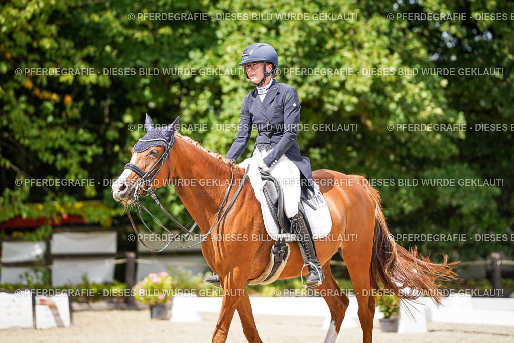 DSC06258 | Pferdegrafie