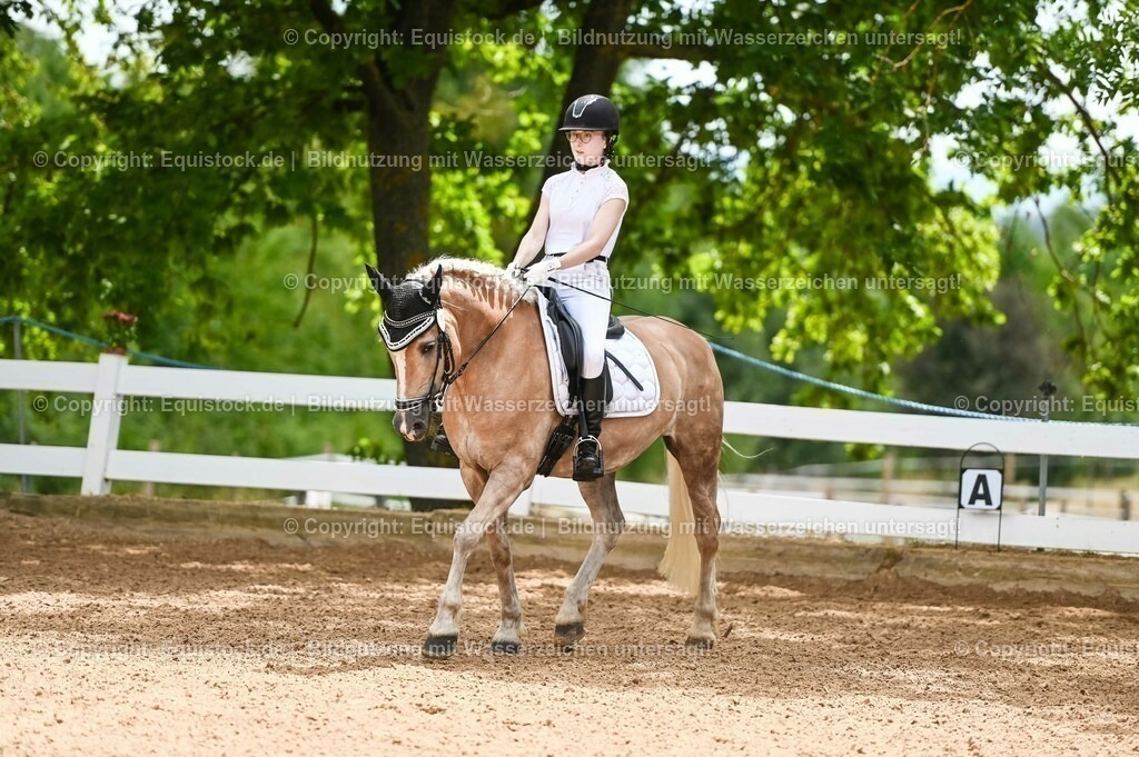 20230715_05_Dressurprüfung Kl.A++_0059 | equistock