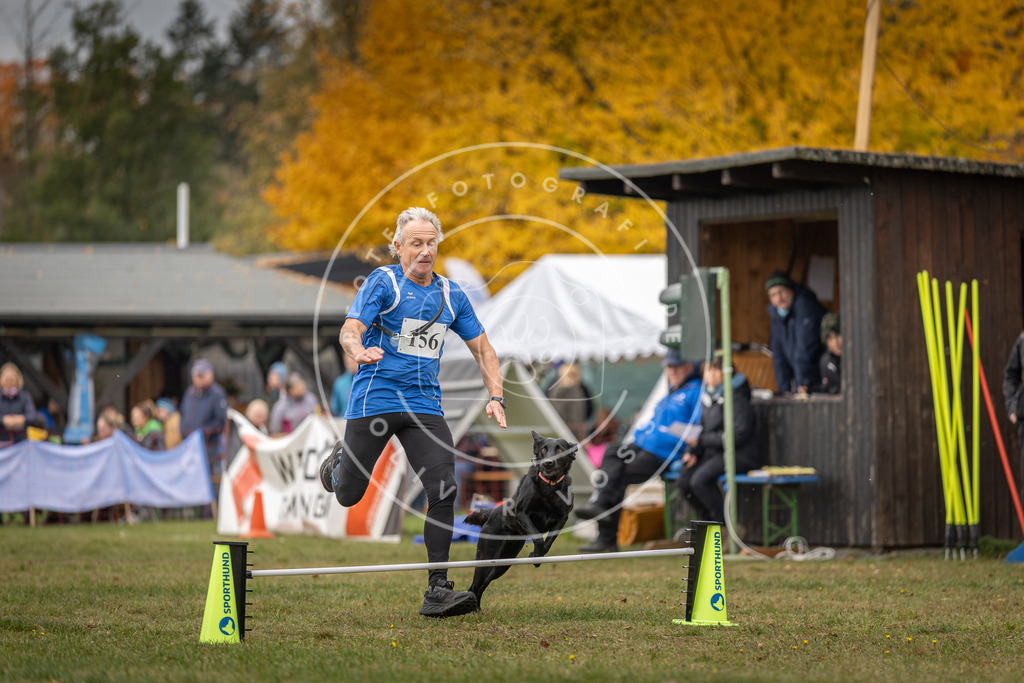 Pfotenfotografie_DV3A5380 | Hundefotografie, Tierfotograf, Pfotenfotografie, Fotoshooting Hund, Hunde Portrait, Hundesport, Hundeportraits, Heideshooting, Hunde, Sportfotograf, Hundefotograf, Turnierhundsport, THS,  - Realisiert mit Pictrs.com