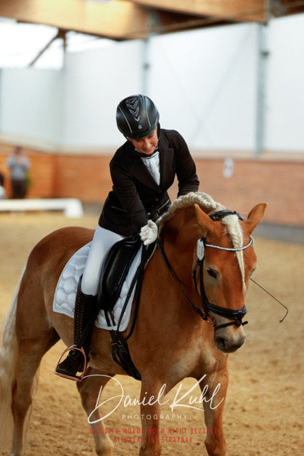 _62_7134 | Turniersportfotografie; Pferdefotografie; Dressurfotografie