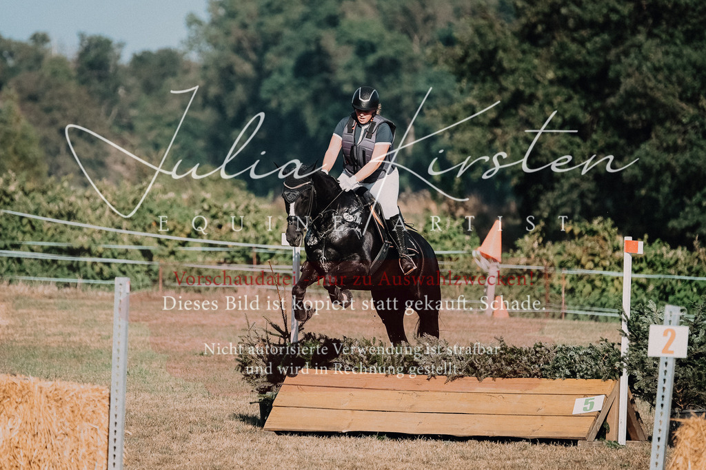 DSC_8945 | Pferde- und Turnierfotografie in Westsachsen. Pferdeportraits, Auftragszeichnungen und intuitive Kunst.