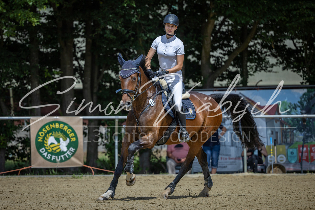 20260704-_3LI0433 | Tierfotografie Pferde, Hunde, Katzen, Haustiere.
Turnierfotografie Reitturniere, Reiten, Springreiten, Dressur in Hanau, dem Main-Kinzig-Kreis und dem Rhein-Main- Gebiet um Frankfurt