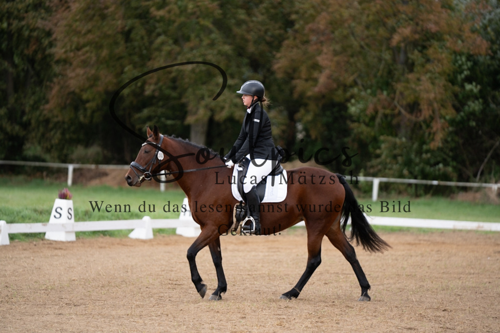 A7V05173 | Pferdefotograf