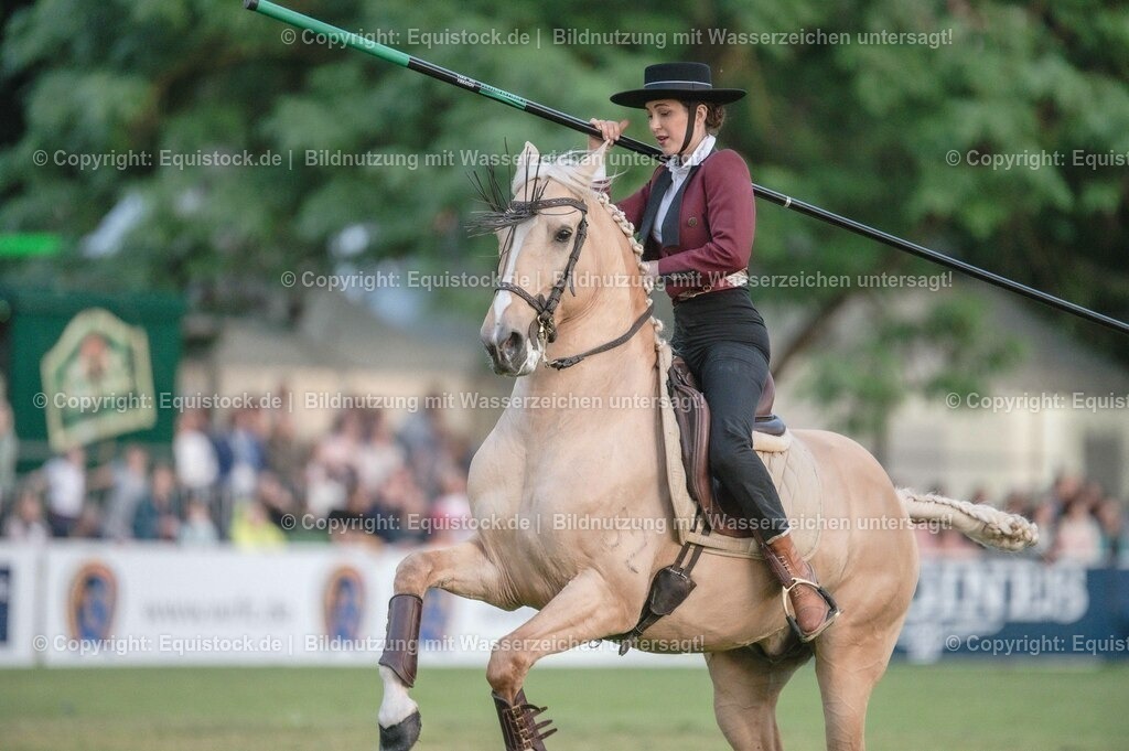 20230526_Pferdenacht_0756 | equistock