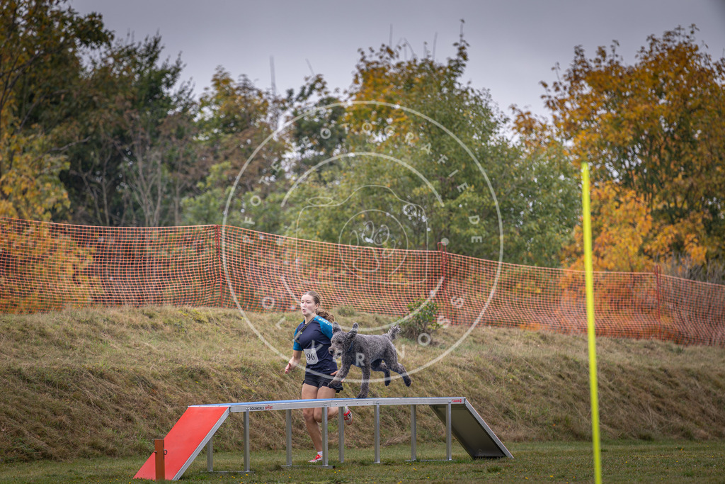 Pfotenfotografie_DV3A1386 | Hundefotografie, Tierfotograf, Pfotenfotografie, Fotoshooting Hund, Hunde Portrait, Hundesport, Hundeportraits, Heideshooting, Hunde, Sportfotograf, Hundefotograf, Turnierhundsport, THS,  - Realisiert mit Pictrs.com