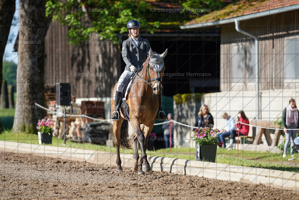 20240519-FAH04332 | Turnierbilder Niederseeon 2024, Vielseitigkeitsdressur, Reitsportbilder aus dem Landkreit Ebersberg, Gut Steinsee, RC Steinsee, Fotoagentur Herrmann