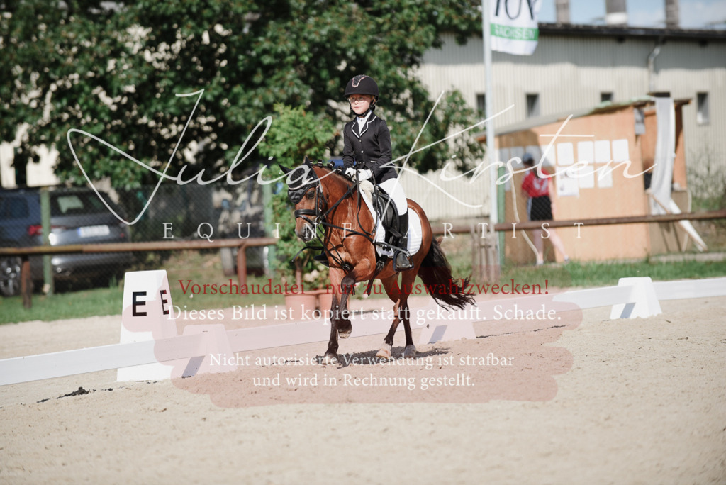 DSC_0114 | Pferde- und Turnierfotografie in Westsachsen. Pferdeportraits, Auftragszeichnungen und intuitive Kunst.