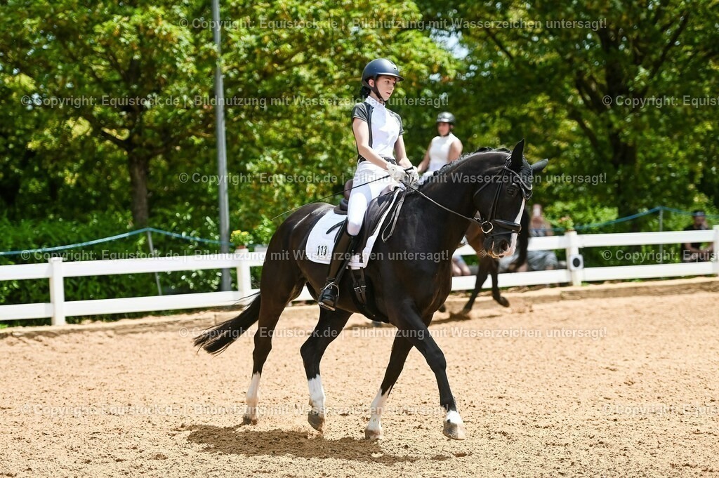20230715_05_Dressurprüfung Kl.A++_0126 | equistock