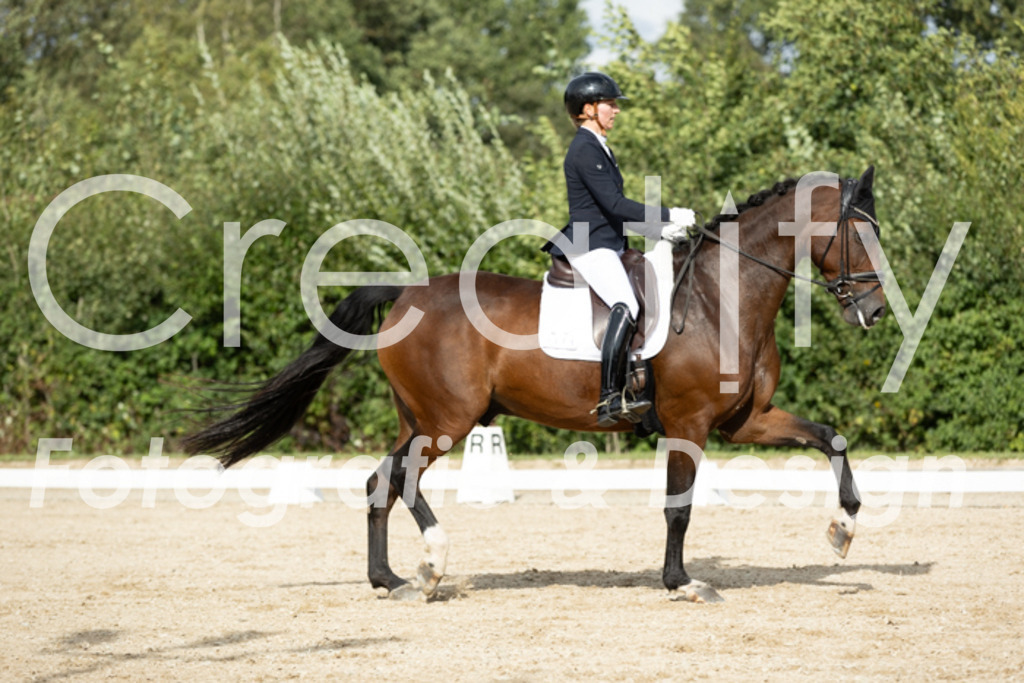 IMG_7011 | Creatify Fotografie