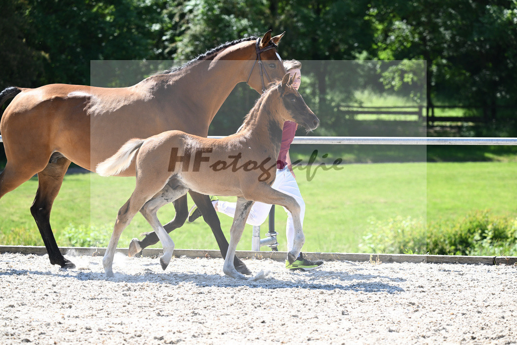 Kat-Nr. 7 HF Nechristo_Zimmermann_16230186 | hf-fotografie - Realisiert mit Pictrs.com