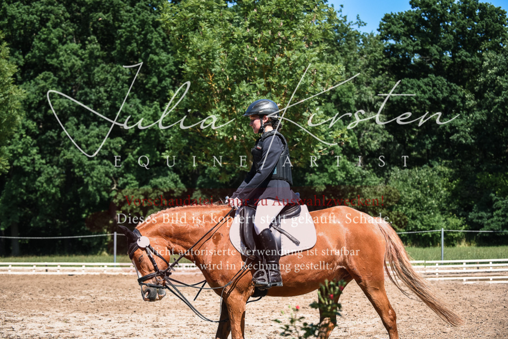 DSC_3299 | Pferde- und Turnierfotografie in Westsachsen. Pferdeportraits, Auftragszeichnungen und intuitive Kunst.