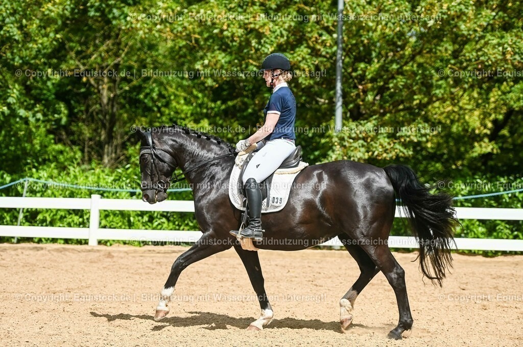 20230715_02_Dressurreiterprüfung Kl.L_0346 | equistock