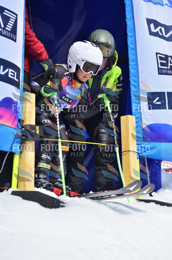 _ELE1841 | holidayphoto