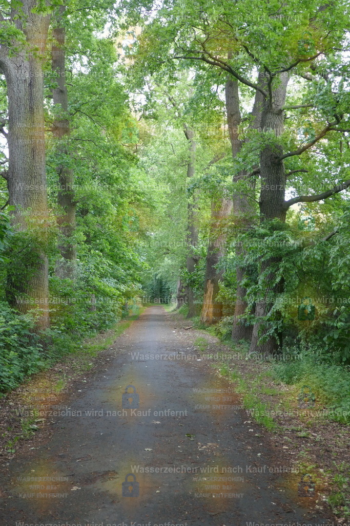 P1100872 | Fotoseite Wolkenblende - Das Hobby fotografieren begleitet mich schon  viele  Jahre. Auf den nächsten Seiten zeige ich ein paar Schnappschüsse der letzten Jahre und es kommen immer neue hinzu. Schau einfach mal rein. - Realisiert mit Pictrs.com