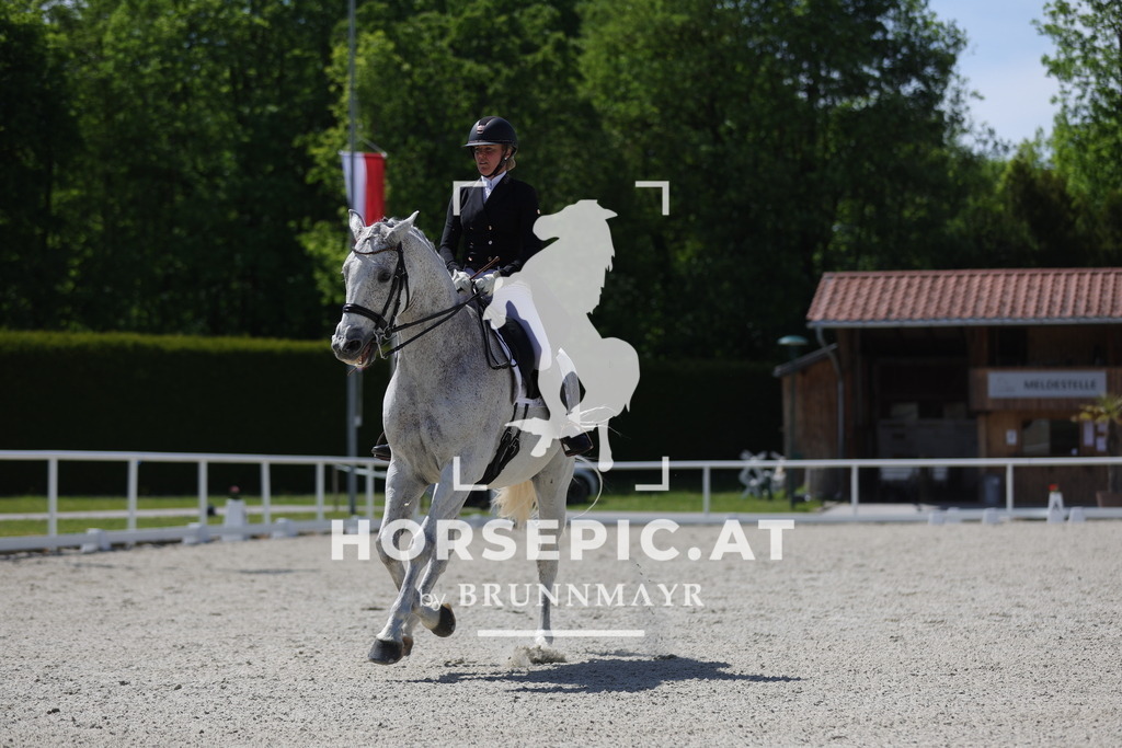 0P6A5927 | Willkommen bei Brunnmayr - Design & Fotografie – Ihrem Spezialisten für Reitturniere und Pferdeveranstaltungen in Oberösterreich, Salzburg und Bayern! Seit über 17 Jahren sind wir leidenschaftlich dabei.