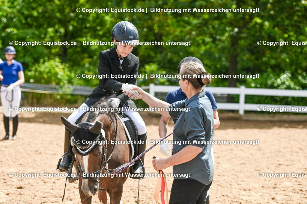 20230716_11_Führzügel-WB_0102 | equistock