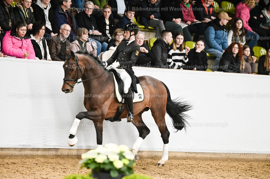 20260307_Hengstvorstellung-Marbach_0351 | equistock