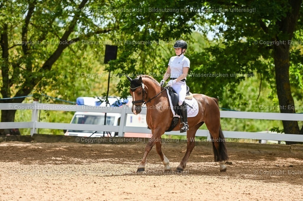 20230715_05_Dressurprüfung Kl.A++_0190 | equistock