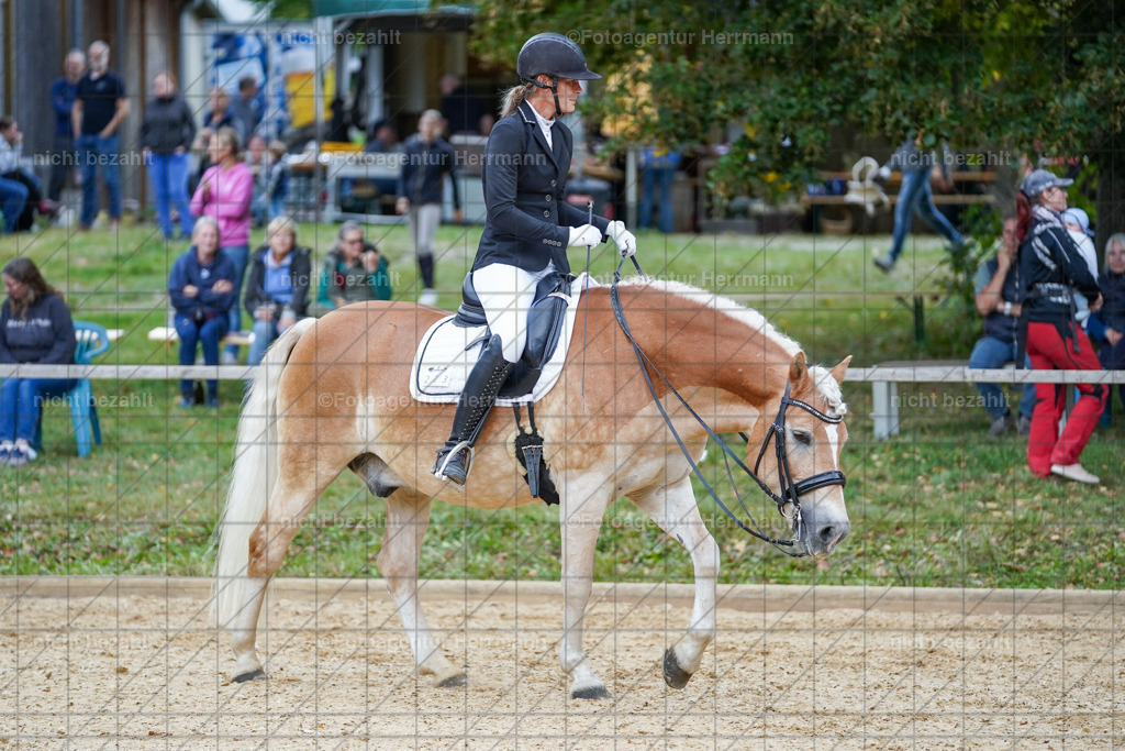 20231007-SN_00834 | Professionelle Turnier- und Reitsportfotografie - mit dem Finger am Auslöser. Pferdebilder aus dem Reitsport von den Turnierfotografen  Bayern , Pferdefotograf Bayern, Pferdeshooting Turnierbilder, Hochzeitsfotograf, Eventfotograf, Hochzeitsbilder