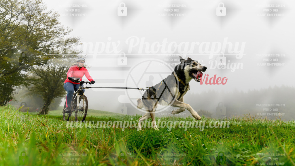 MompixPhotography_20TSB_E5_Bike-116 | PayLife