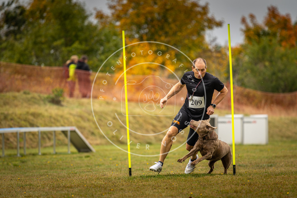 Pfotenfotografie_DV3A2305 | Hundefotografie, Tierfotograf, Pfotenfotografie, Fotoshooting Hund, Hunde Portrait, Hundesport, Hundeportraits, Heideshooting, Hunde, Sportfotograf, Hundefotograf, Turnierhundsport, THS,  - Realisiert mit Pictrs.com