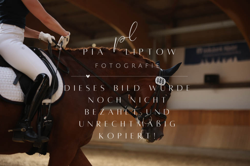 IMGS3146 | pl-fotografie