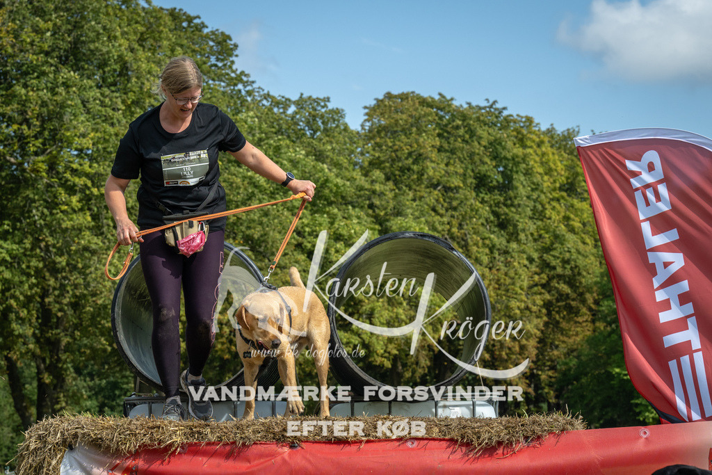 1308_ZZ92397 | kk-dogfotos