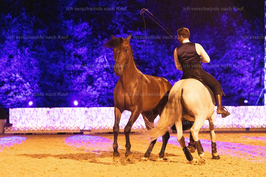 FHClassics-329 | working equitationturnier fotograf videograf stoibphotography marixx film working equitation deutschland reitsport turnierfotografie eventfotografie equestrian events